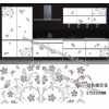 水转。琾p电子水转印，pp电子水移画